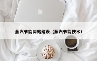 平阳蒸汽节能网站建设（蒸汽节能技术）